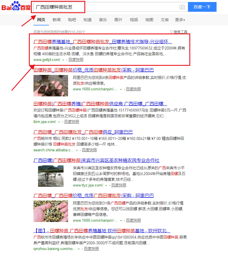 田螺养殖基地关键词优化图片 田螺养殖基地关键词优化图片