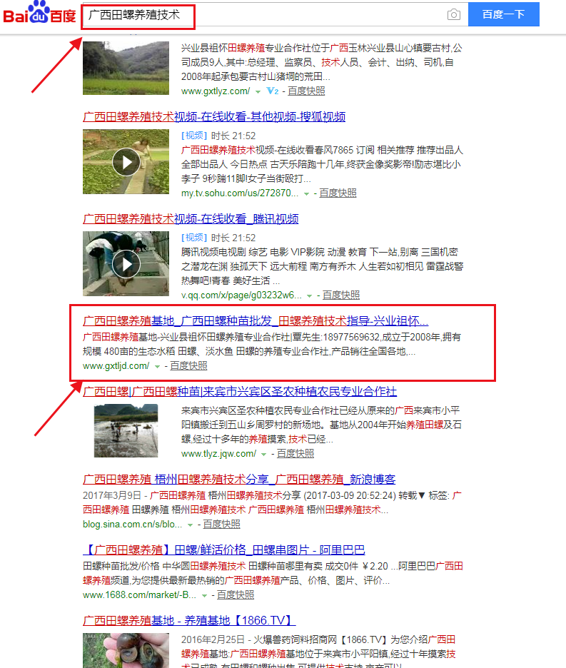 田螺养殖基地关键词优化图片 田螺养殖基地关键词优化图片